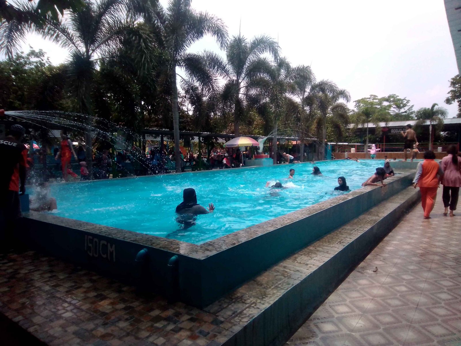 Kegiatan Renang bagi siswa di Wisata Edukasi Rodjo Tater