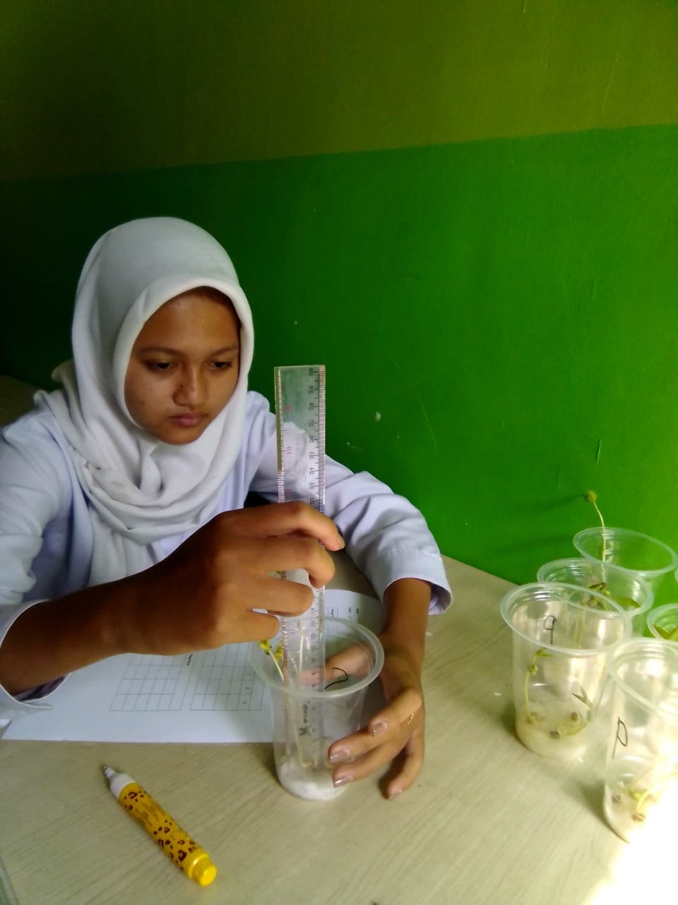 Siswa yang aktif sedang mempelajari tanaman
